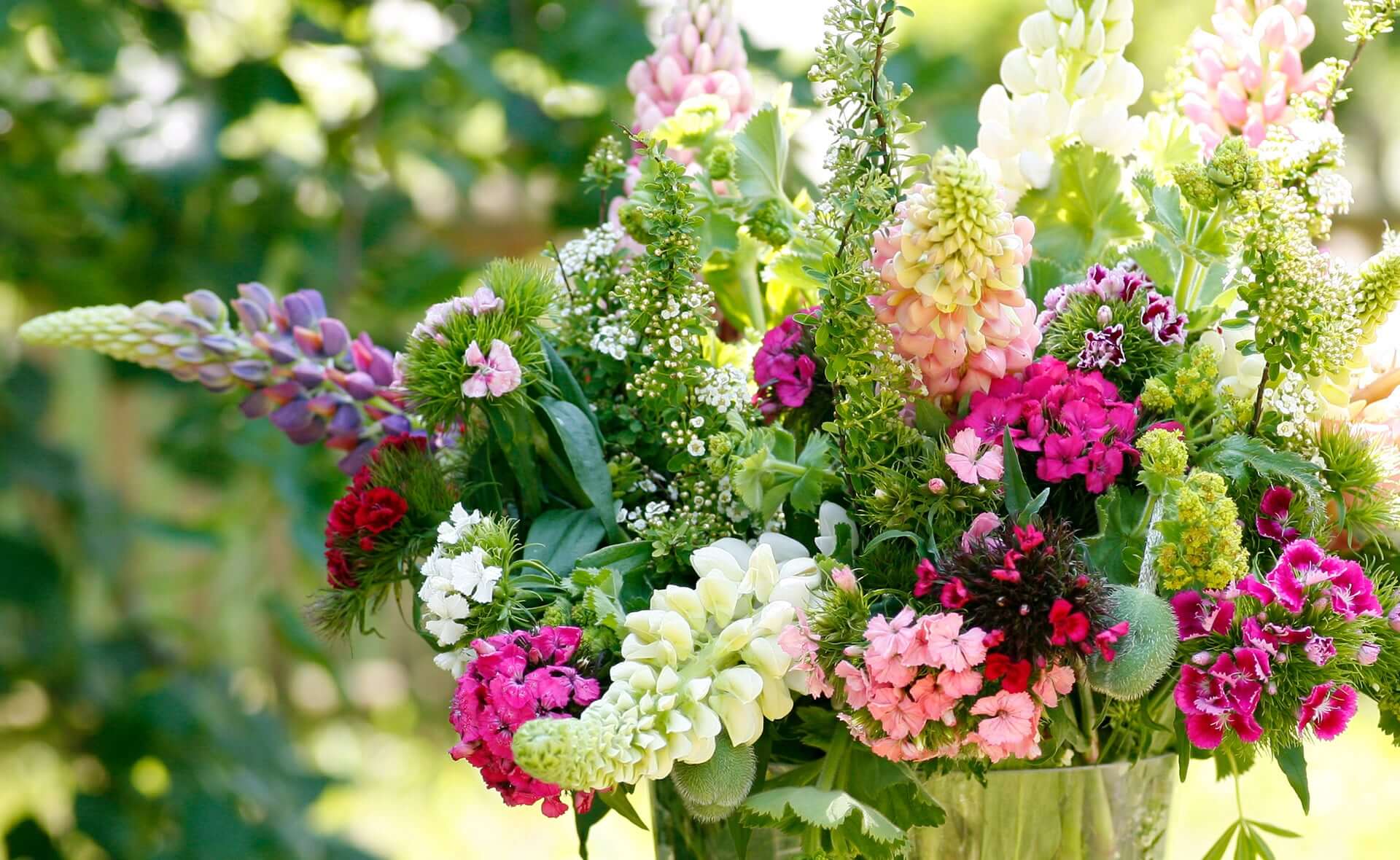 In unserem Schnittblumen Großhandel finden Sie regionale Schnittblumen und fair trade Rosen in sehr schöner Auswahl.