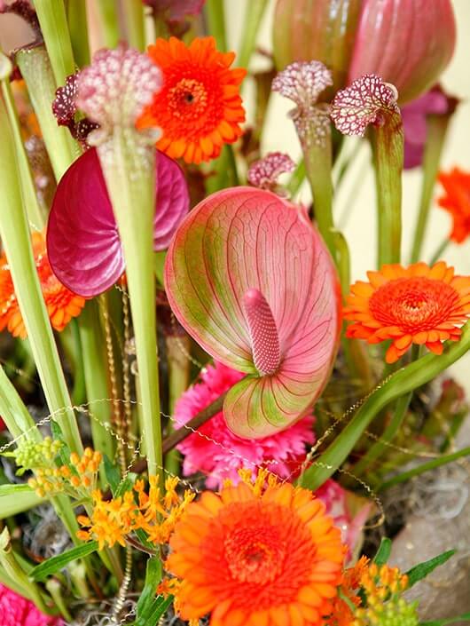 Top Floristen präsentieren bei uns regelmäßig inspirierende Arrangements mit Schnittblumen.
