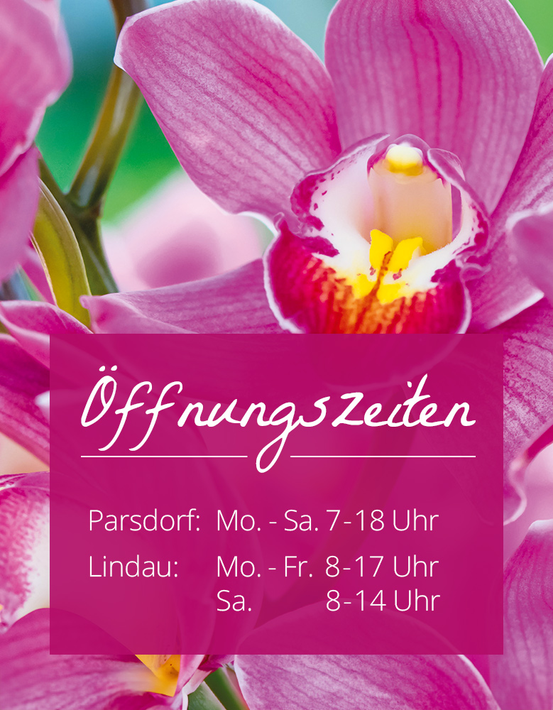 Bayerische Blumen Zentrale Großhandel Öffnungszeiten Parsdorf Lindau